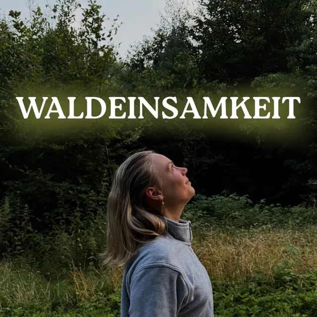 Waldeinsamkeit Newsletter Logo